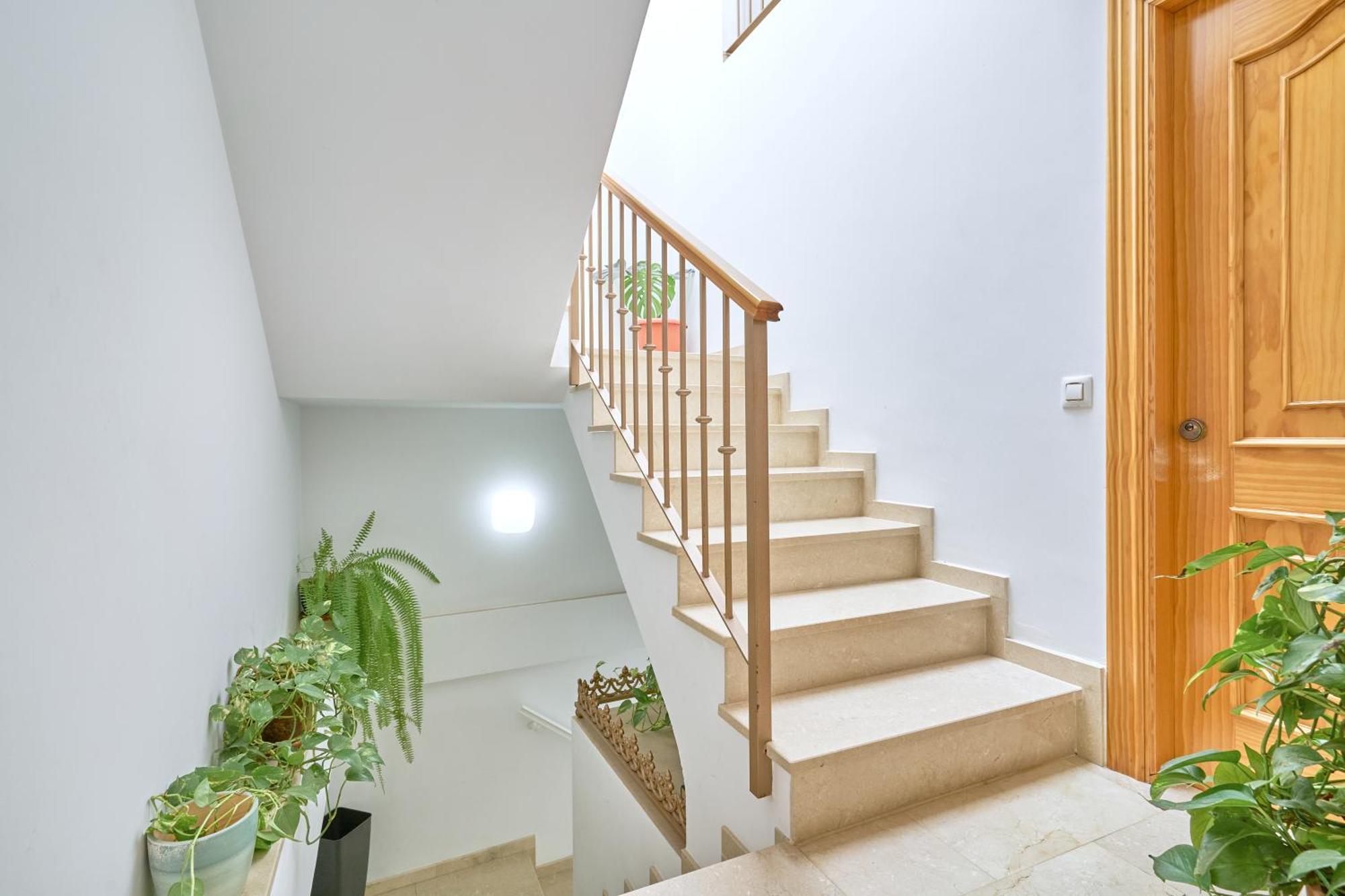 Apartamento Fernandita Nerja Εξωτερικό φωτογραφία